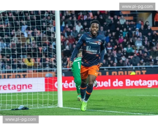 法甲巅峰对决：里昂与蒙彼利埃的绿茵之约，激情碰撞，荣耀之战